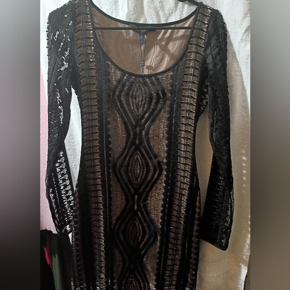BCBGMaxAzria Black Sheer Lace Dress